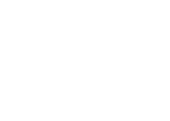 AI Institute logo